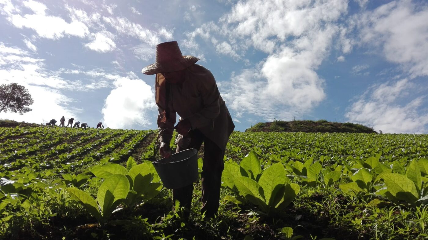 En Territorio Sonoro, visibilizamos y reconocemos las acciones y emprendimientos que desarrollan los habitantes de las zonas rurales en Santander.