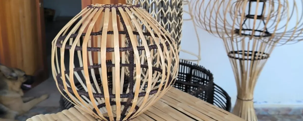 Agricultura orgánica